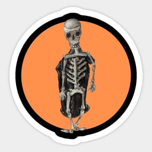 Halloween, Skeleton Mr Bones - Orange and Black Sticker